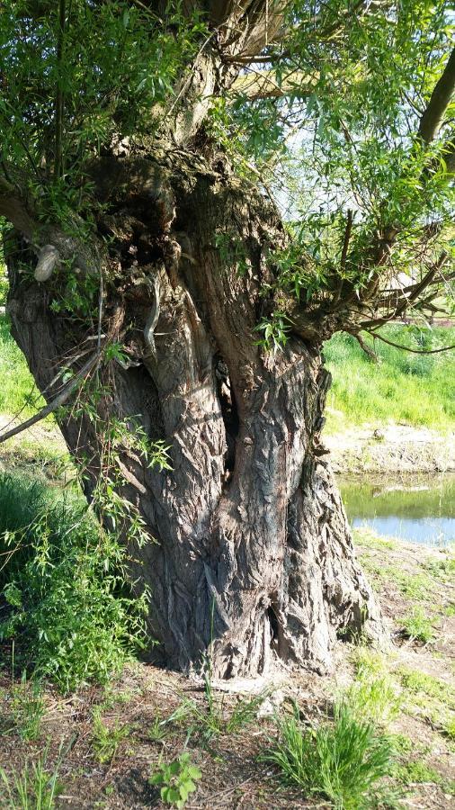 Willowcroft Alkborough Buitenkant foto